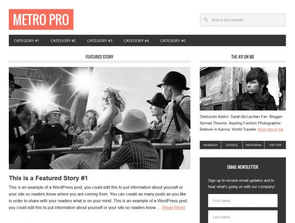 Premium Website Design - Image 3