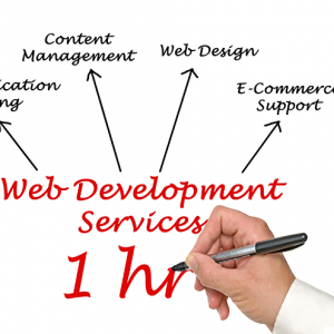 1 hour web development time